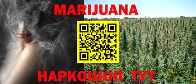 мяу мяу мука Гусиноозёрск