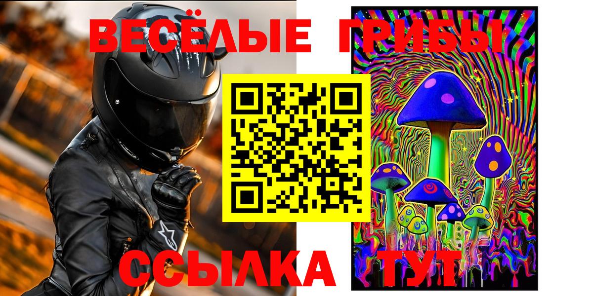 Галлюциногенные грибы MAGIC MUSHROOMS  Псилоцибиновые грибы Magic Shrooms  Новочеркасск  Вход с VPN 